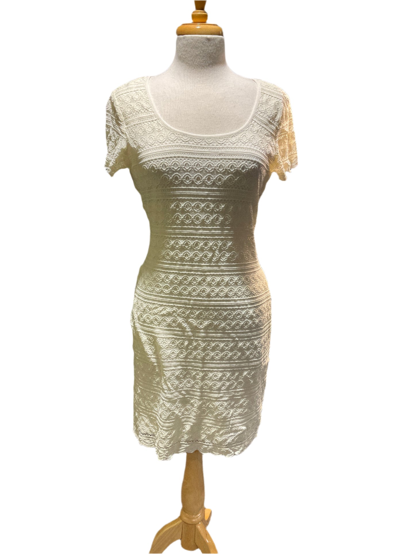 Ronni Nicole Dress