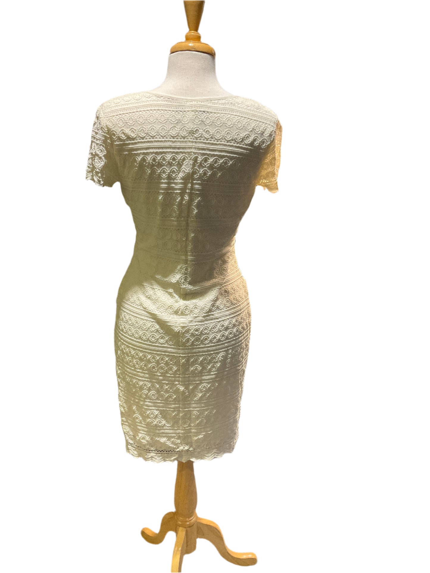 Ronni Nicole Dress