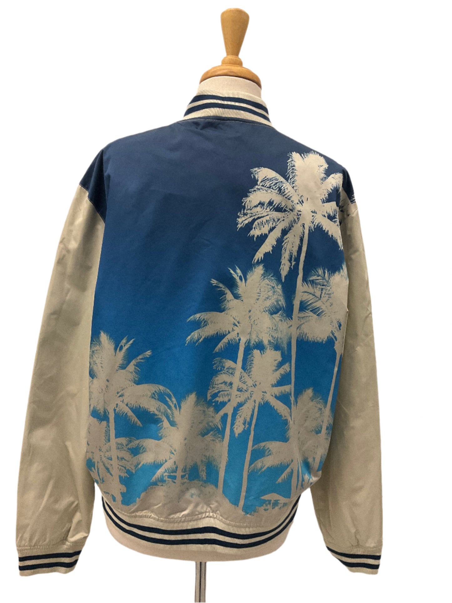 AE Bomber Jacket