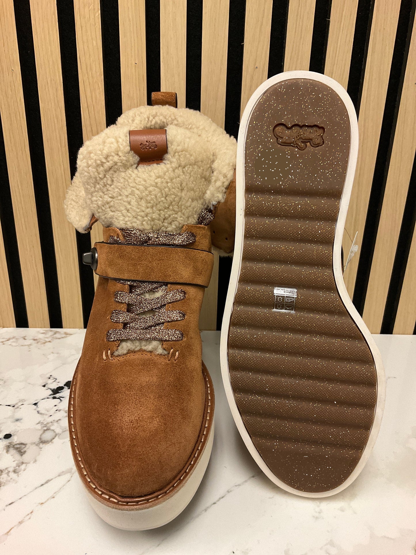 Coach Boots