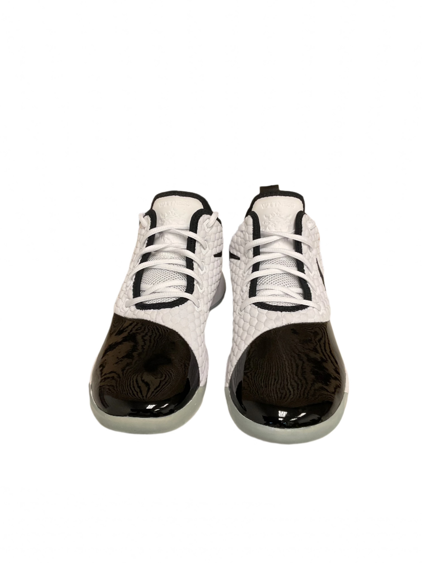 Nike Lebron Witness 3 PRM Concord