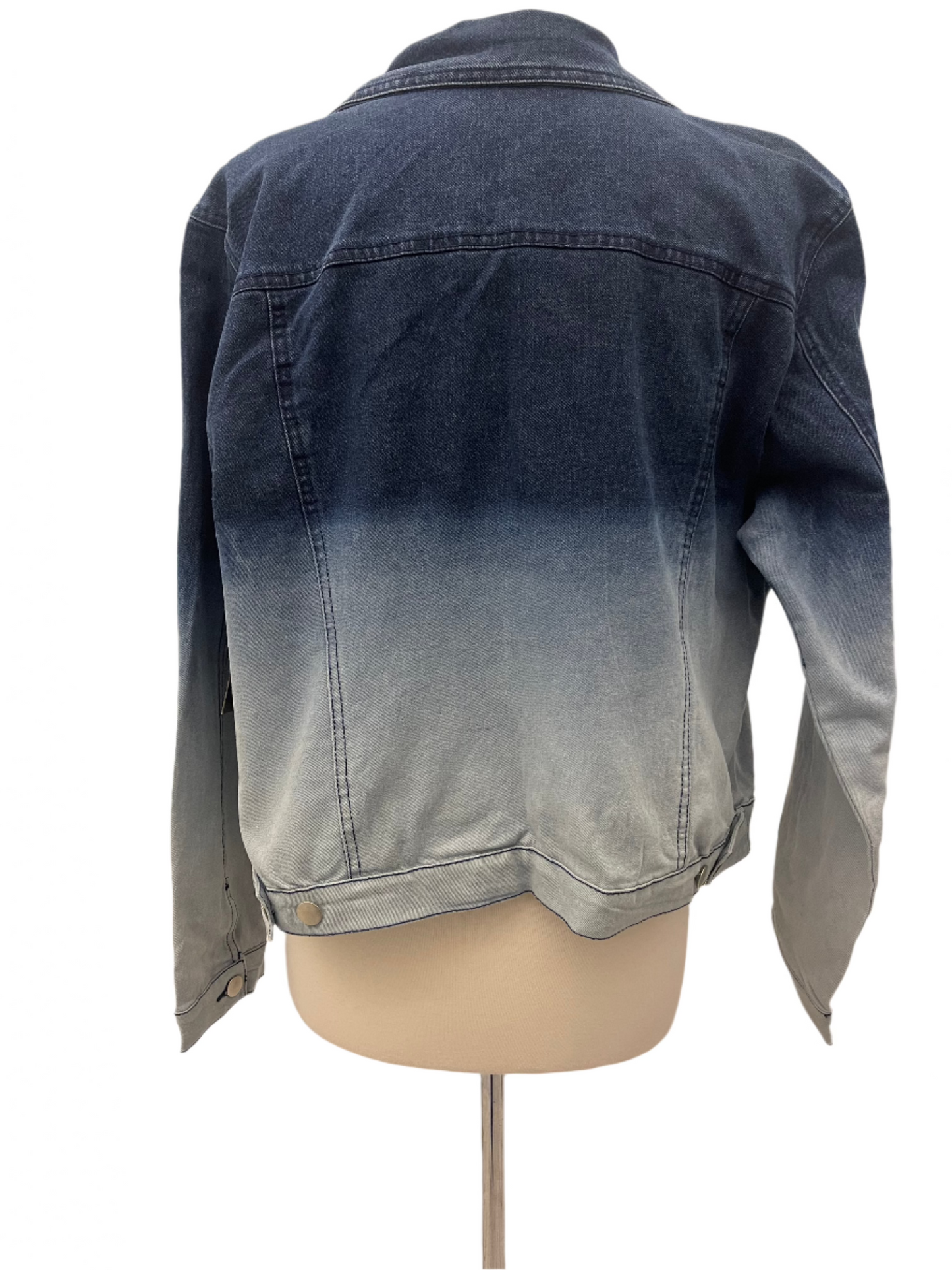 Baccini Denim Jacket