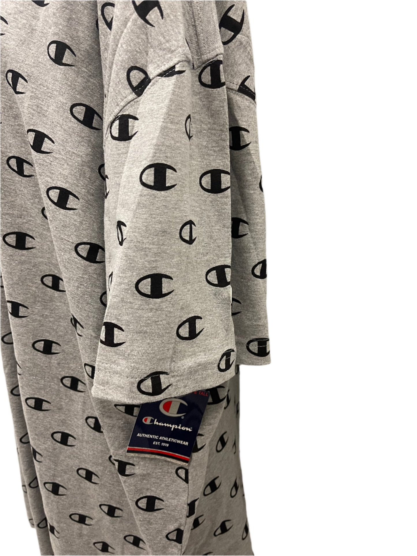 Champion Graphic Tee (Big & Tall)