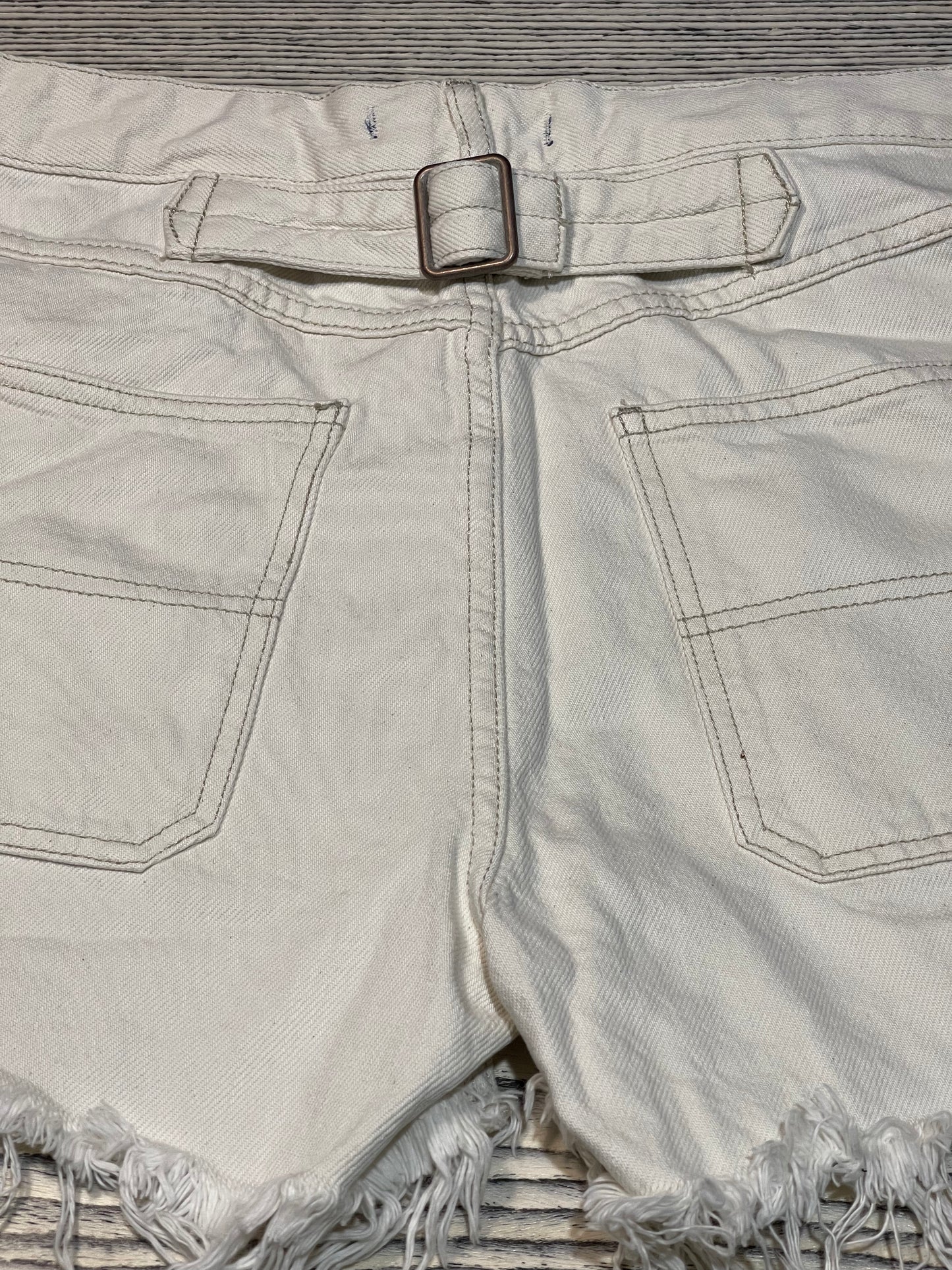 Free People Painter Denim Shorts