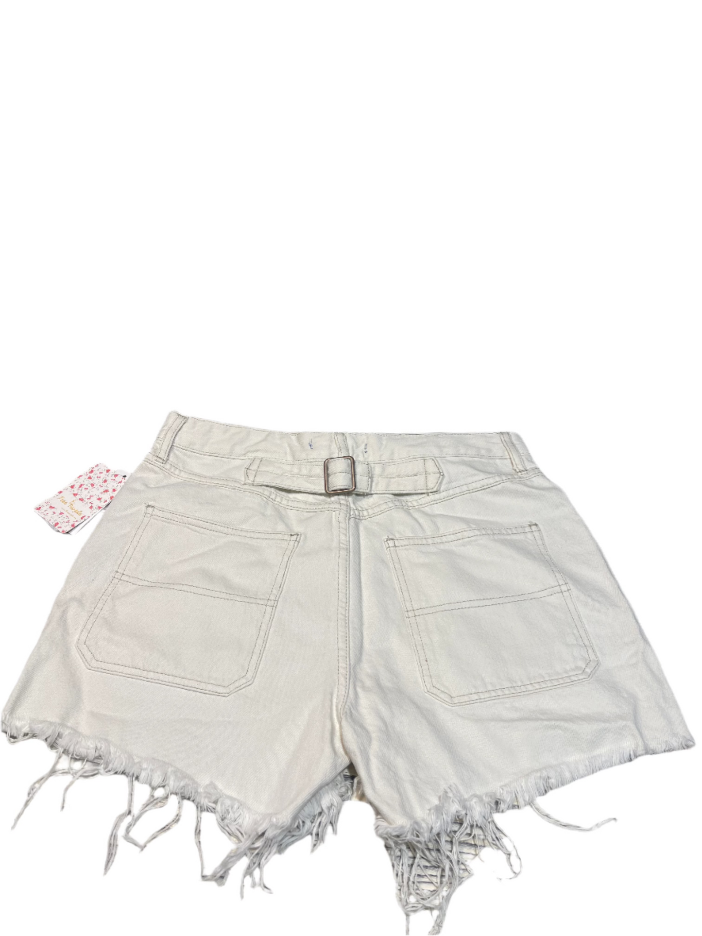 Free People Painter Denim Shorts