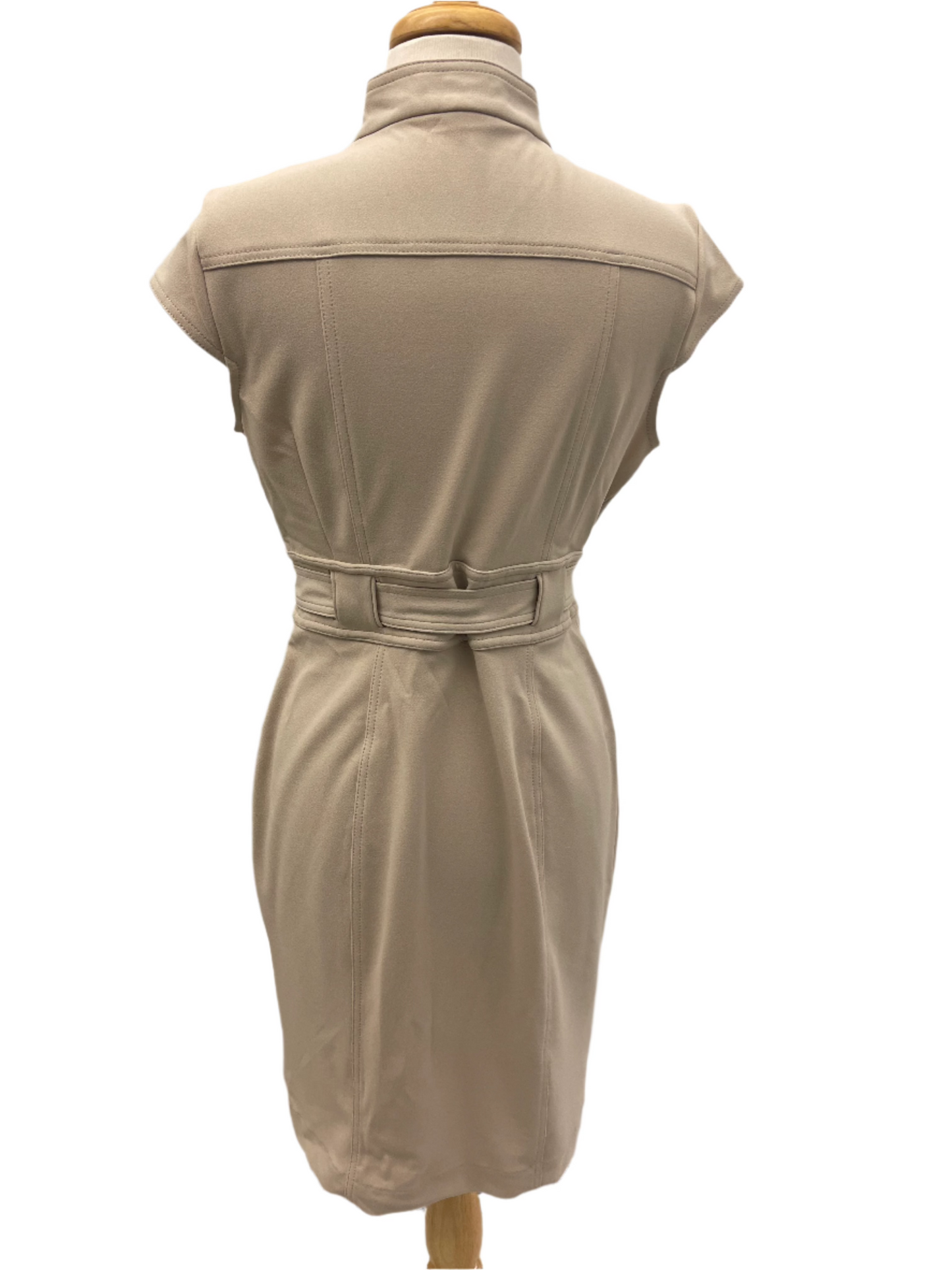 Calvin Klein Button Dress