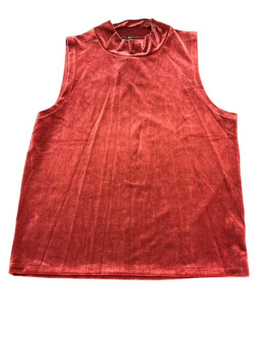 J Crew Velour Top