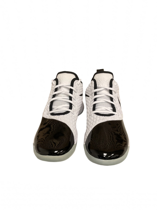 Nike Lebron Witness 3 PRM Concord