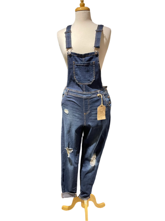 True Craft Distressed Overalls